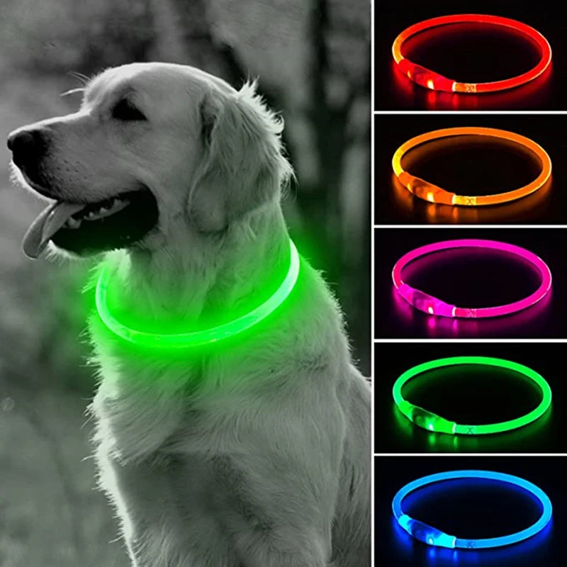 LED USB Dog Collar for Night Safety and Visibility - Smarsty