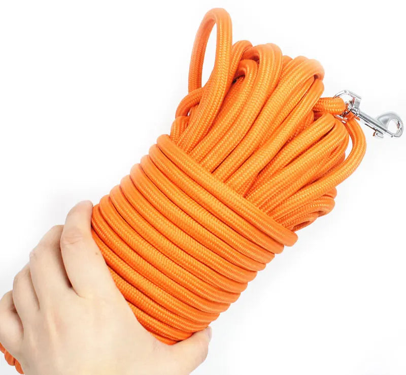 Heavy Duty Nylon Dog Leash for Training - Smarsty