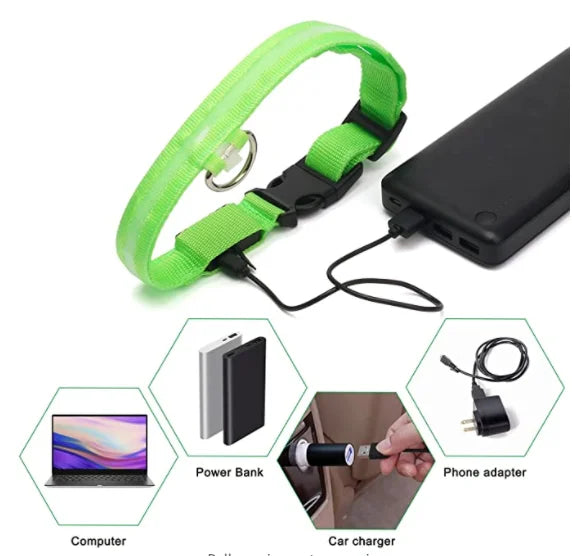 USB Charging Bright LED Dog Collar for Night Safety - Smarsty