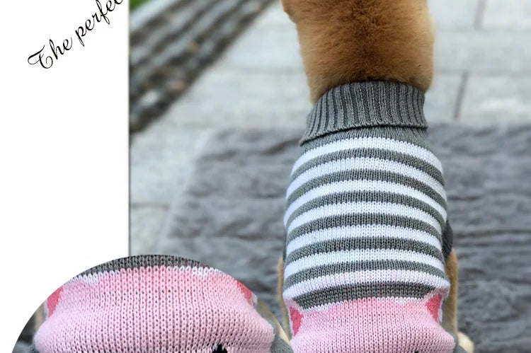 Warm Dog Coat for Small Dogs Winter Jacket - Smarsty