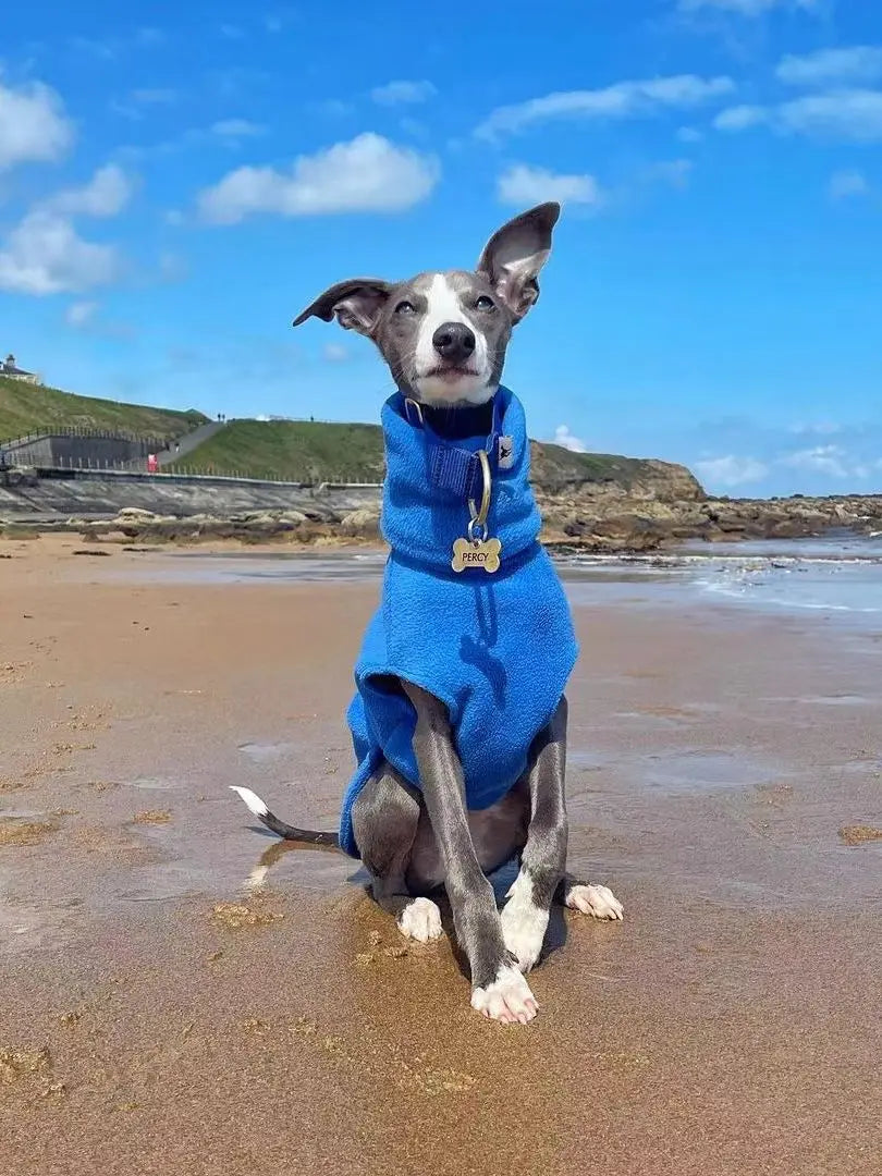 Winter Fleece Dog Vest for Italian Greyhounds - Smarsty