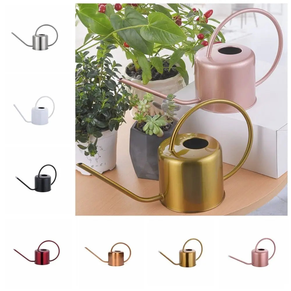 Rustproof Leakproof Stainless Steel Watering Can with Long Nozzle - Smarsty