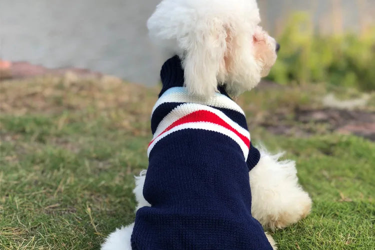 Warm Dog Coat for Small Dogs Winter Jacket - Smarsty