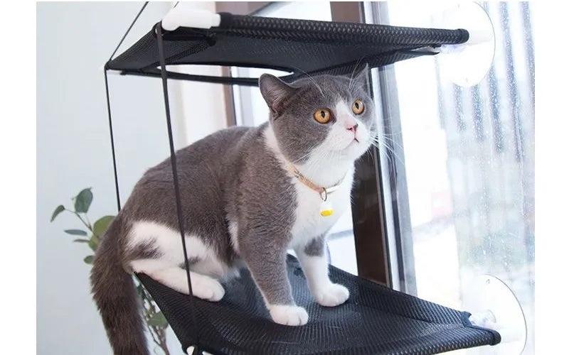 Cat Hammock Window Bed for Sunny Relaxation - Smarsty