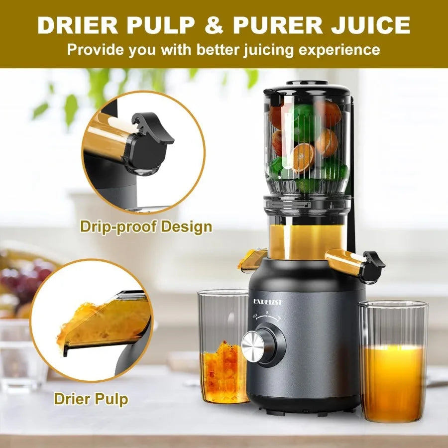 Cold press juicer with 4.2inch large feed chute for whole fruits and vegetables slow juicing extraction machine with 250W masti