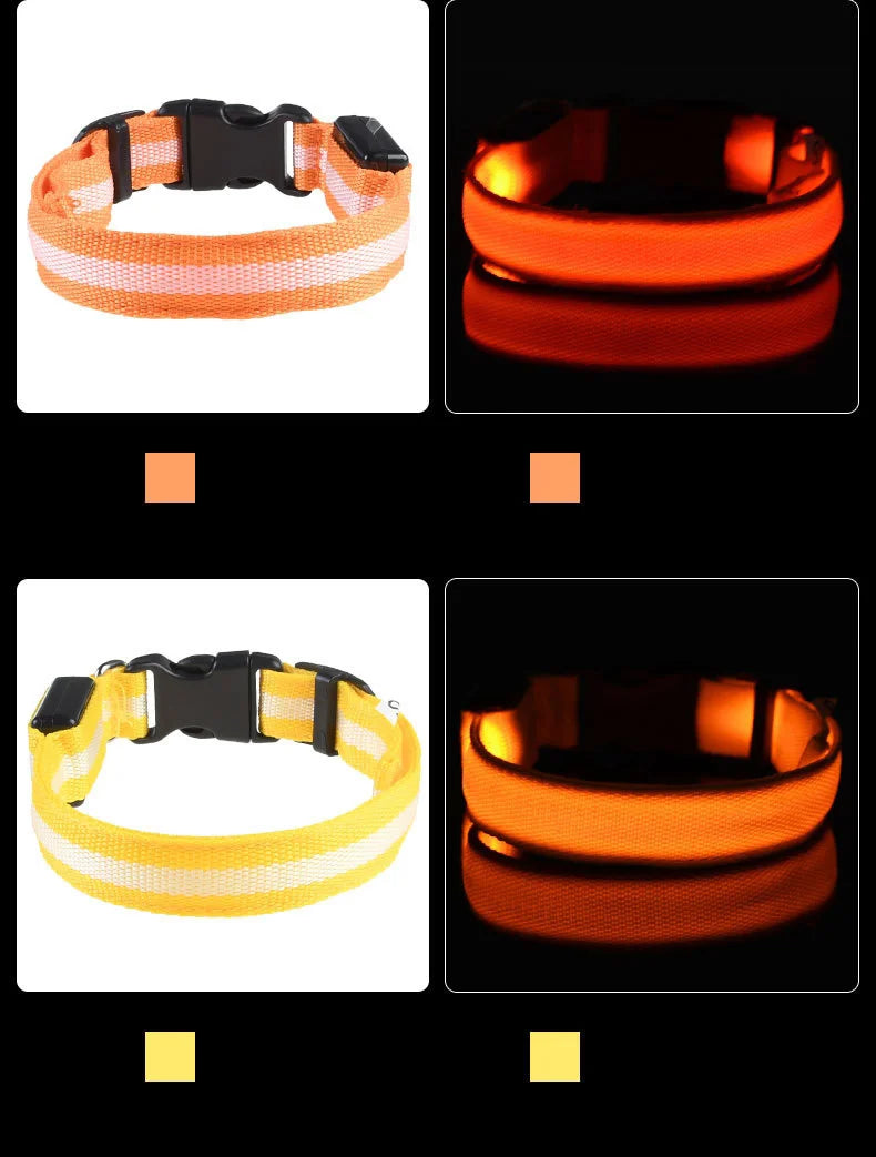 Nylon LED Glow In The Dark Dog Leash - Smarsty