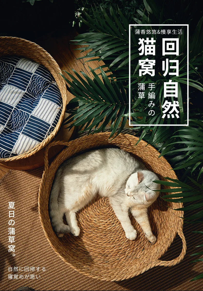 Rattan Weaving Cat Bed for Comfortable Summer Sleep - Smarsty