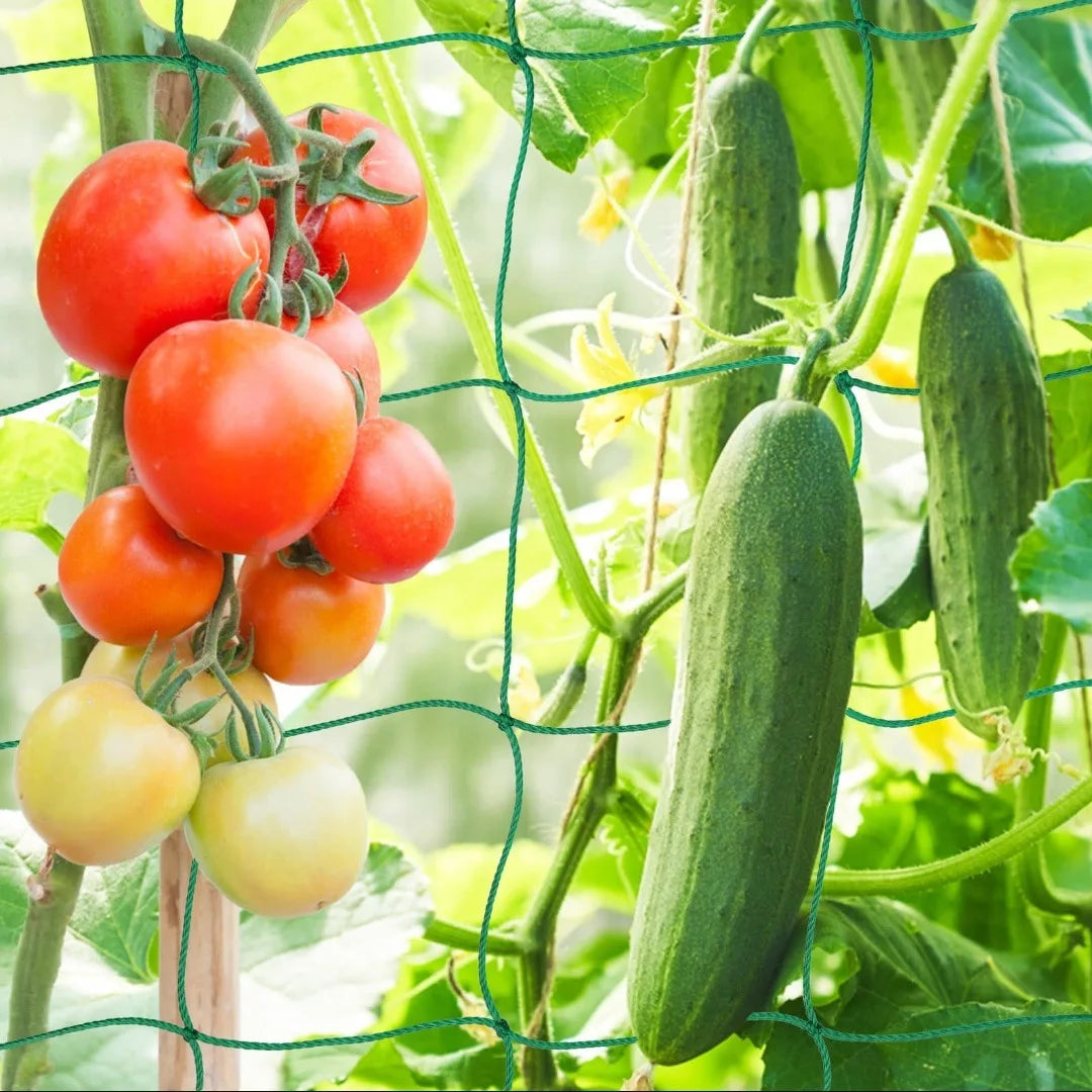 Plant Trellis Pergolas, Heavy-Duty Polyester Grow Net, Garden Trellis Netting With Square Mesh For Climbing Plants, Vegetables,