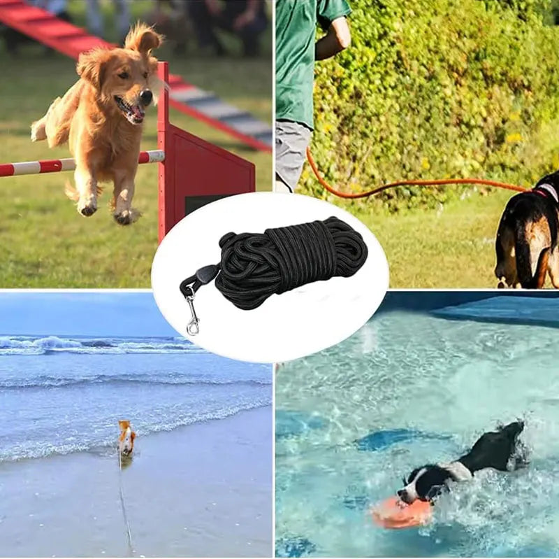 Heavy Duty Nylon Dog Leash for Training - Smarsty