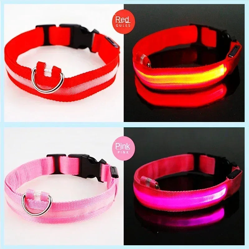 LED Glowing Dog Collar Adjustable Rechargeable Night Safety - Smarsty