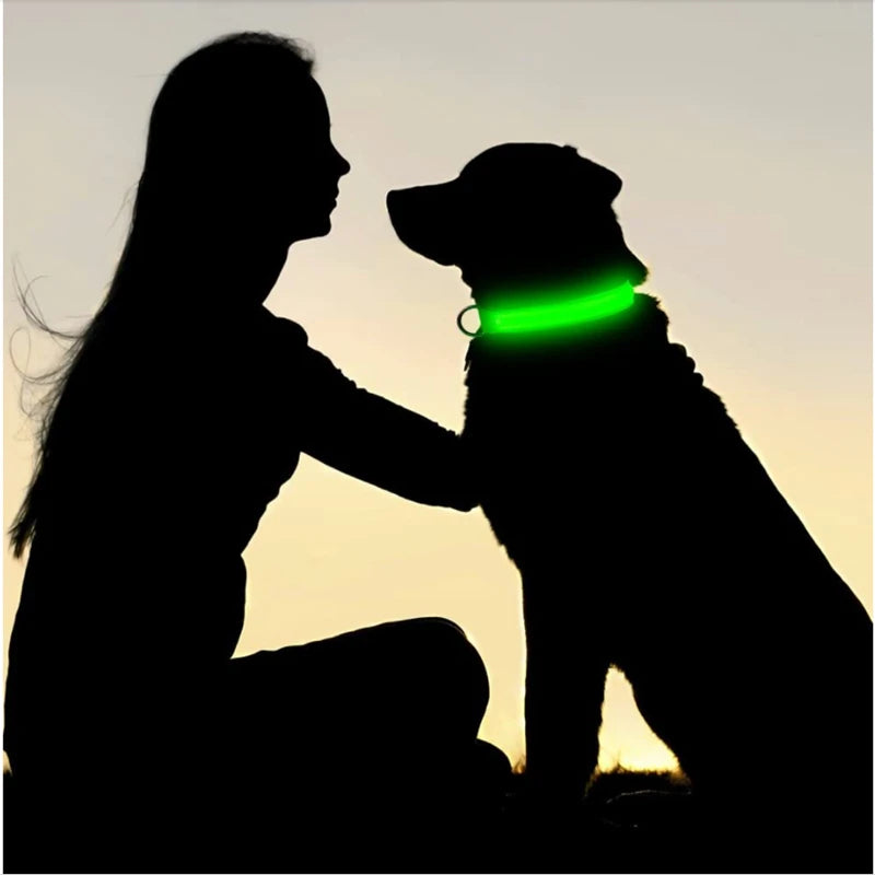 USB Rechargeable LED Dog Collar with Adjustable Anti-Lost Feature - Smarsty