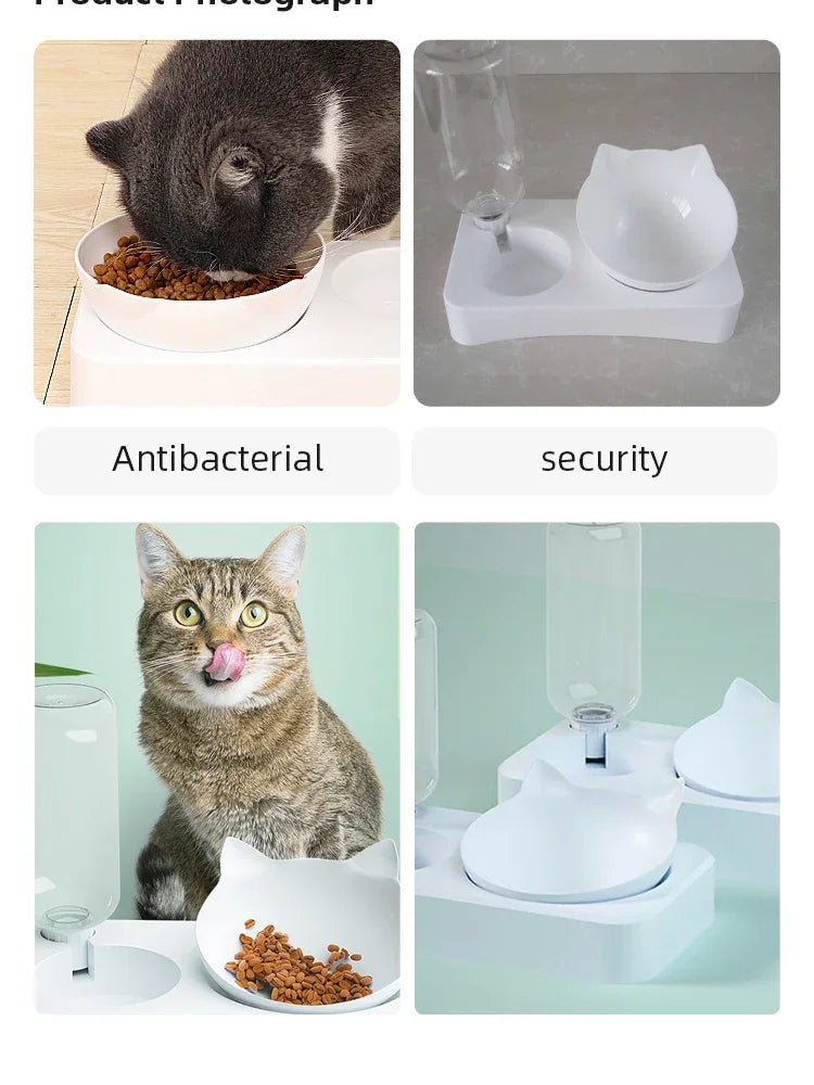 Tilted Pet Bowl for Healthy Feeding Angle - Smarsty