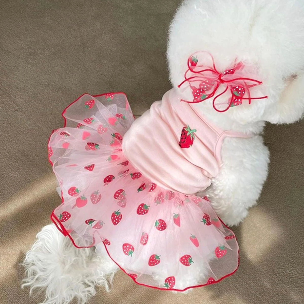 Thin Puppy Princess Skirt for Small Dogs - Smarsty