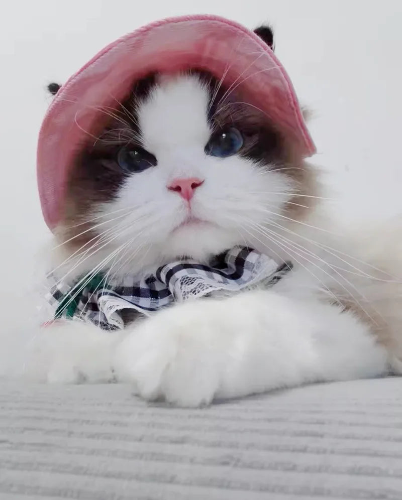 Cotton Cat Sun Hat With Ear Holes For Pets - Smarsty