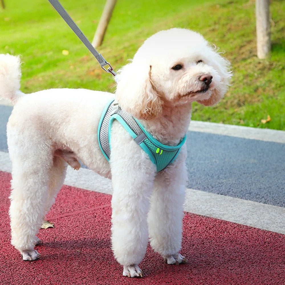 Reflective Adjustable Pet Harness for Outdoor Dogs - Smarsty