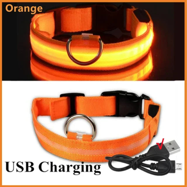 LED Glowing Dog Collar Adjustable Rechargeable Night Safety - Smarsty