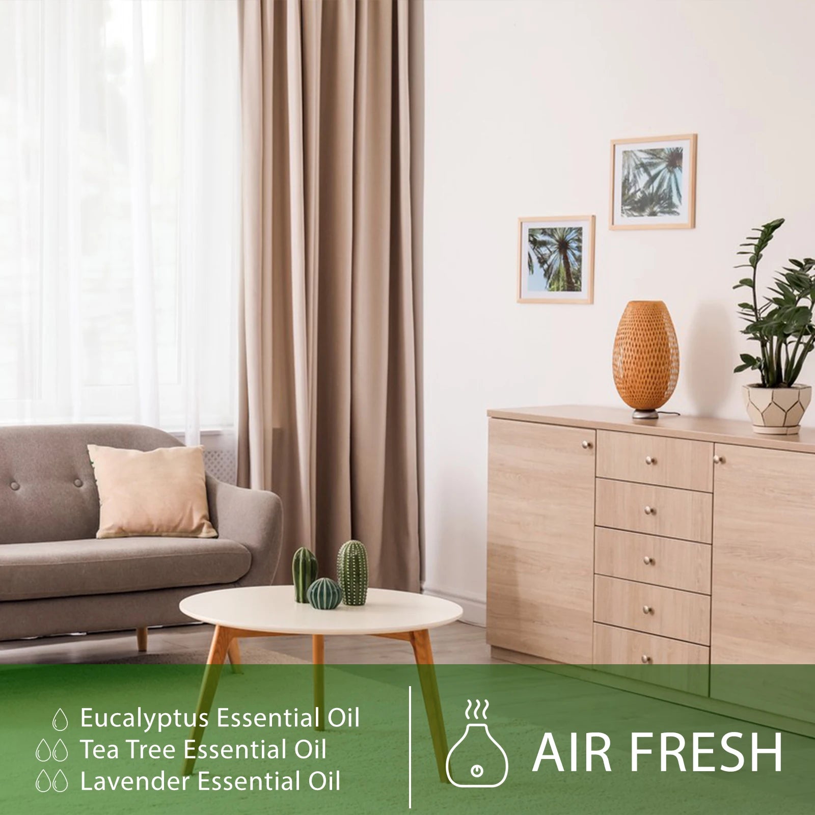 PHATOIL 100ml Essential Oil Set for Aromatherapy Diffusers - Smarsty