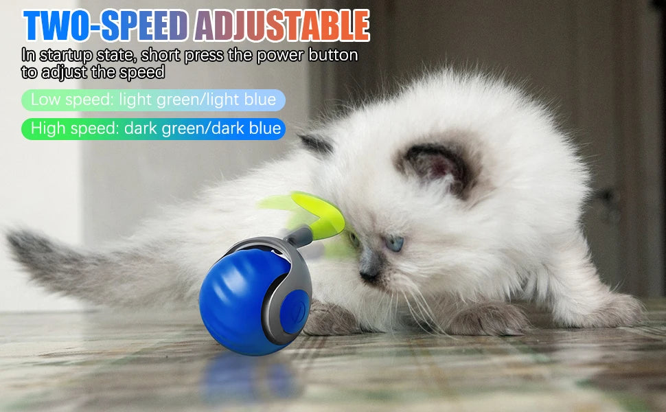 Interactive Electric Rolling Cat Ball Toy Rechargeable Fun - Smarsty
