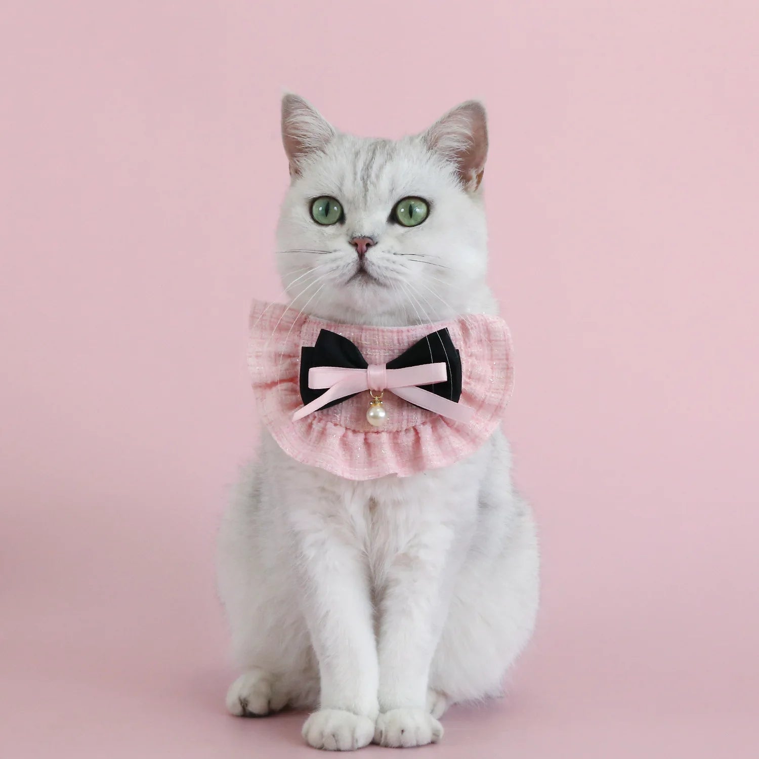 Elegant Pet Princess Outfit Set for Cats and Small Dogs - Smarsty