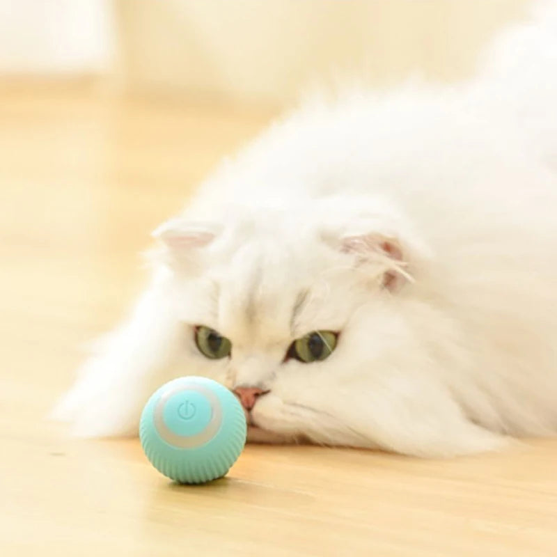 Interactive Rechargeable Cat Ball Toy for Engaging Play - Smarsty
