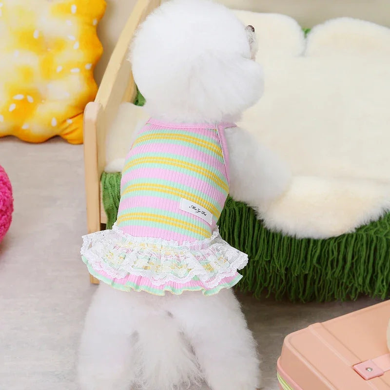 Colorful Striped Dog Dress for Summer Fun - Smarsty