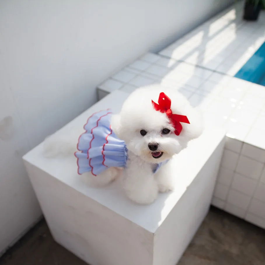 Cute Dog Summer Dress for Small Pets - Smarsty