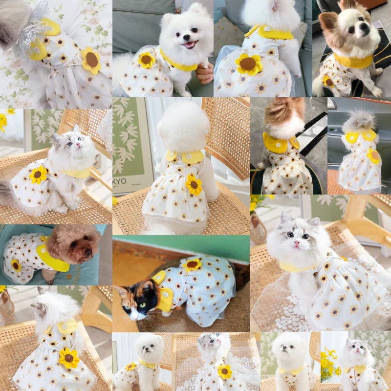 Cute Summer Dog Princess Dress with Bow Lace - Smarsty