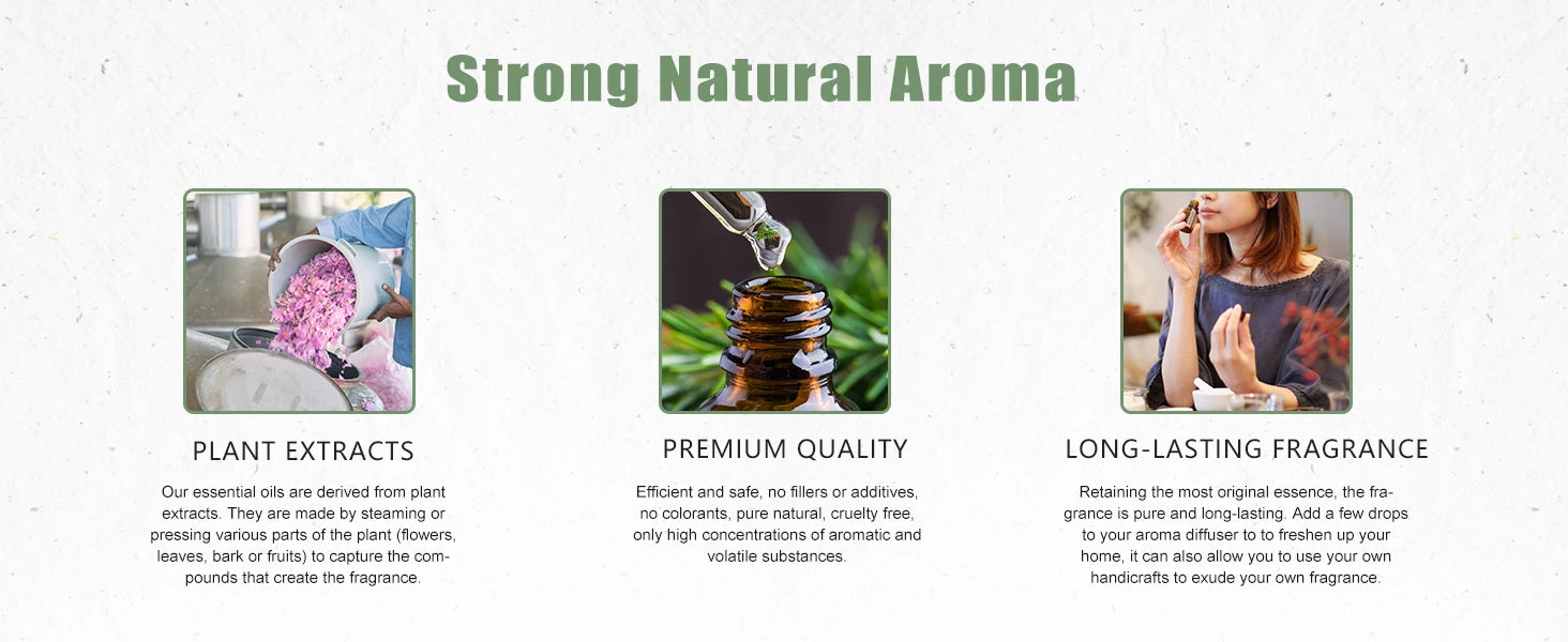 PHATOIL 100ml Essential Oil Set for Aromatherapy Diffusers - Smarsty