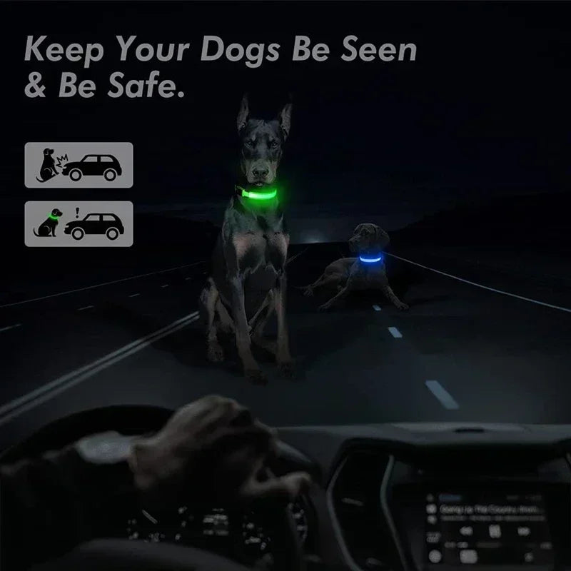 LED Glowing Dog Collar Adjustable Rechargeable Night Safety - Smarsty