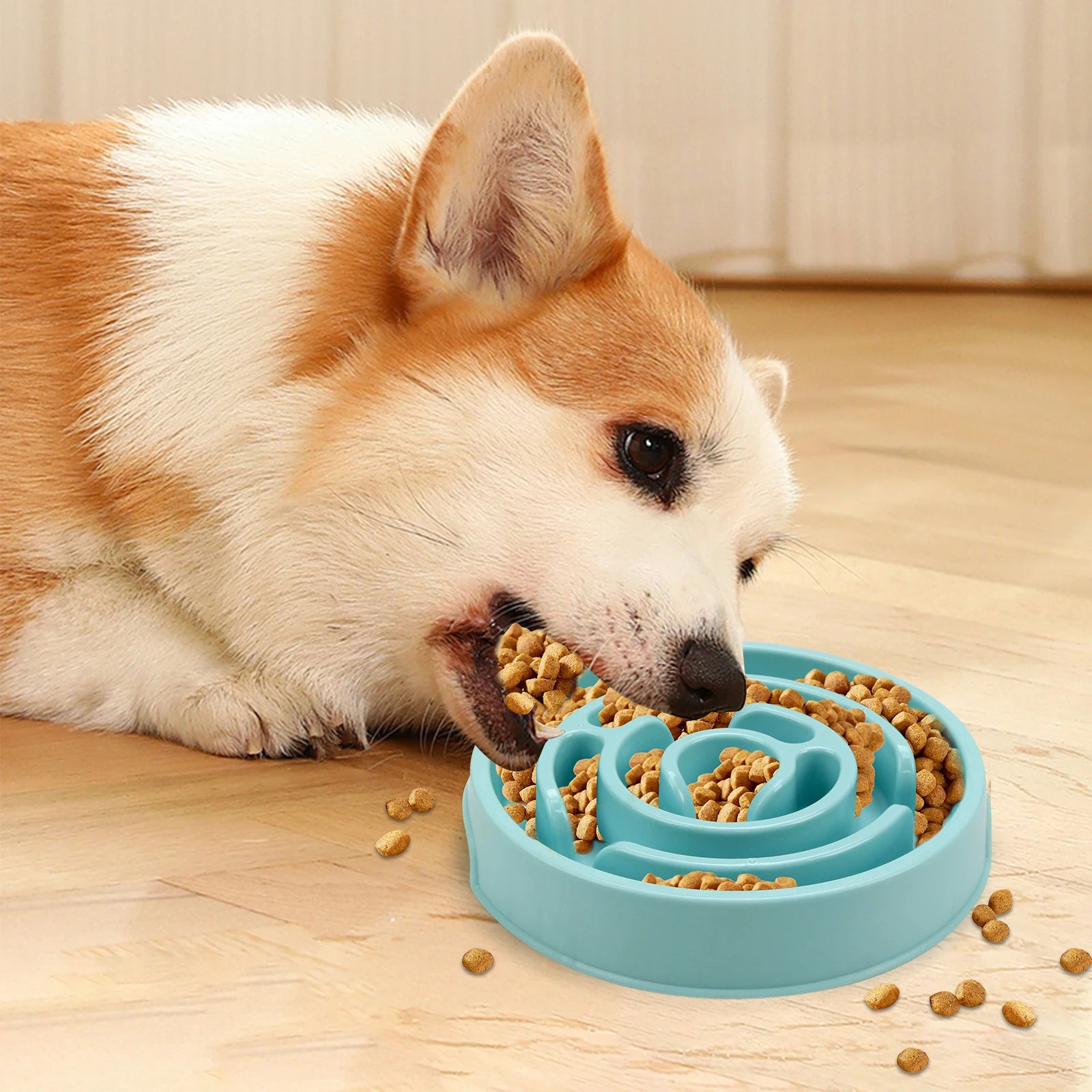 Pet Dog Slow Feeder Bowl Anti-Gulping Design for Healthy Eating - Smarsty