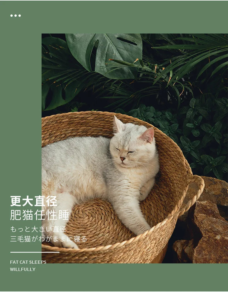 Rattan Weaving Cat Bed for Comfortable Summer Sleep - Smarsty