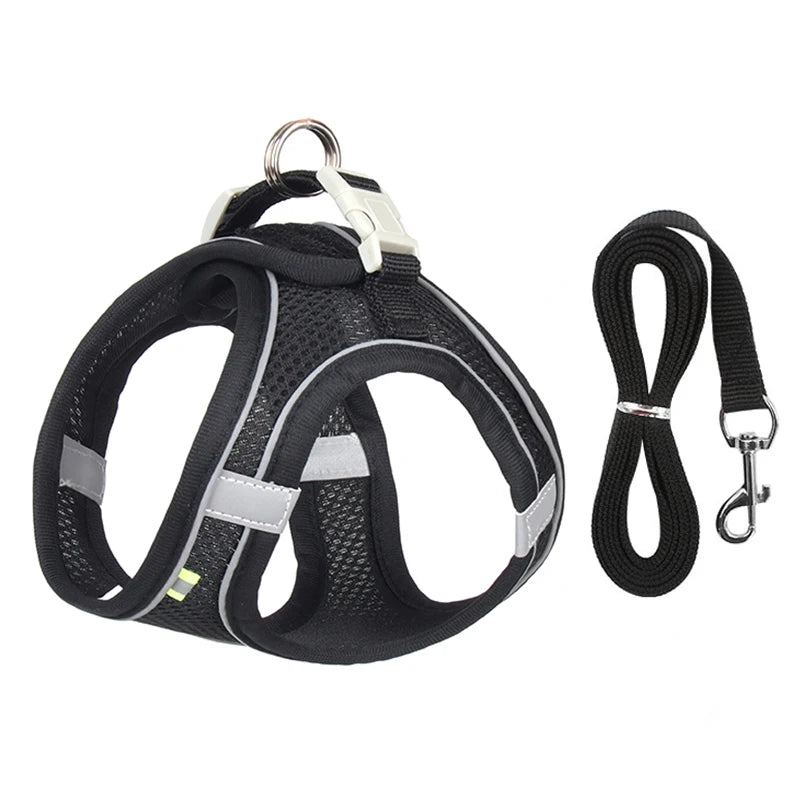 Adjustable Dog Harness Leash Set for Small Dogs - Smarsty