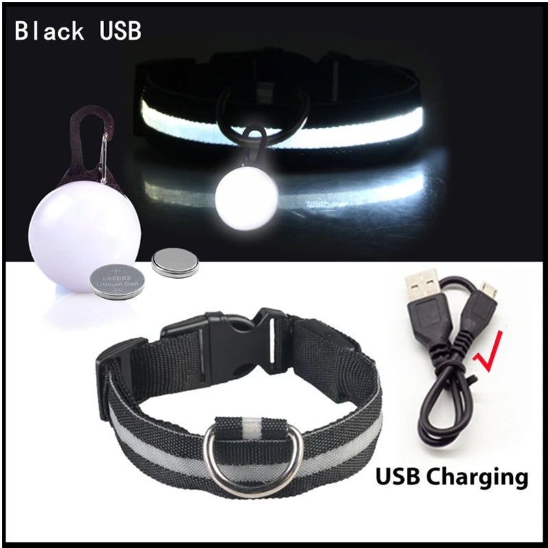 USB Charging Bright LED Dog Collar for Night Safety - Smarsty