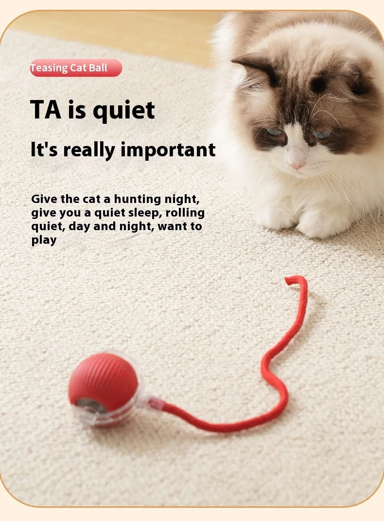 Rechargeable Interactive Cat Toy Smart Rolling Ball - Smarsty
