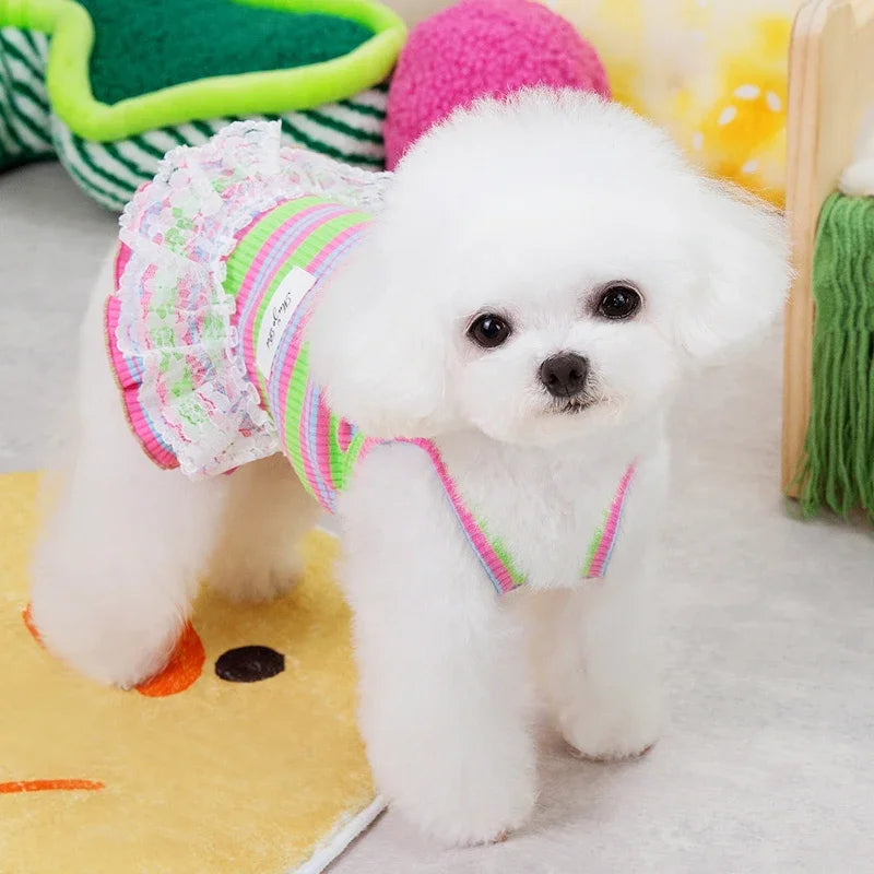Colorful Striped Dog Dress for Summer Fun - Smarsty