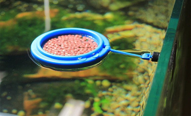 Portable Aquarium Fish Feeding Ring with Suction Cups - Smarsty