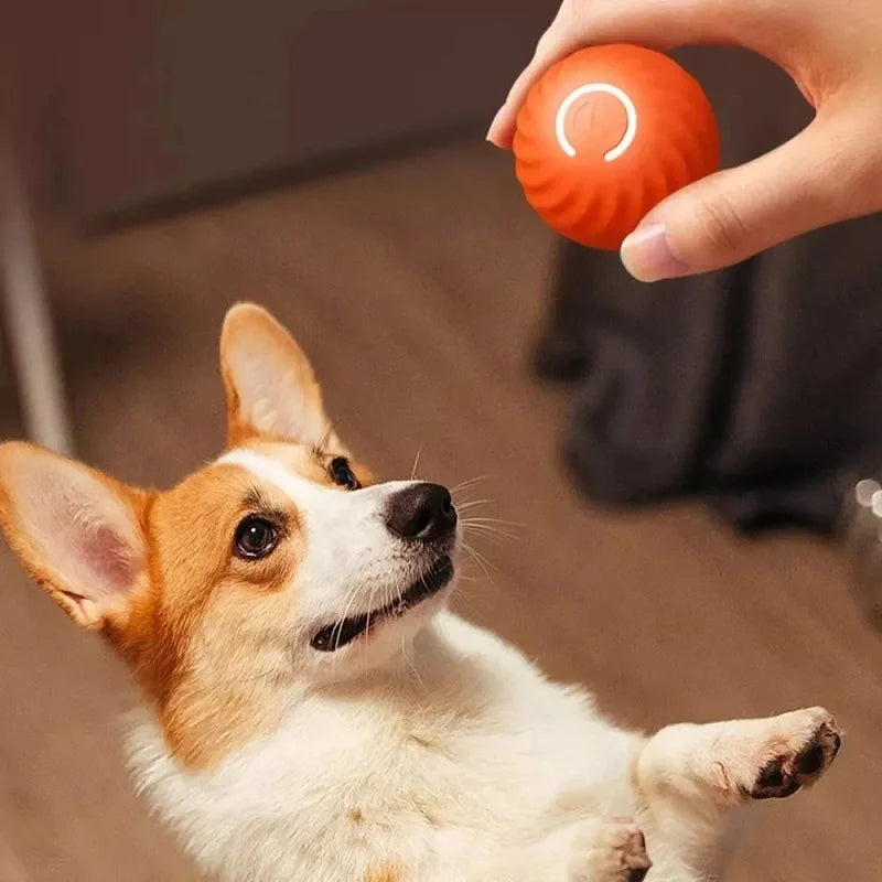 Automatic Moving Dog Toy Ball for Interactive Play - Smarsty