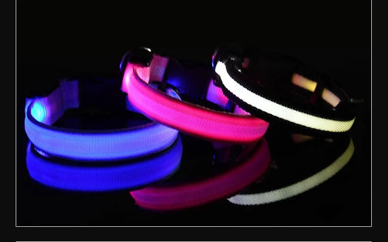 LED Nylon Dog Collar for Night Safety and Visibility - Smarsty