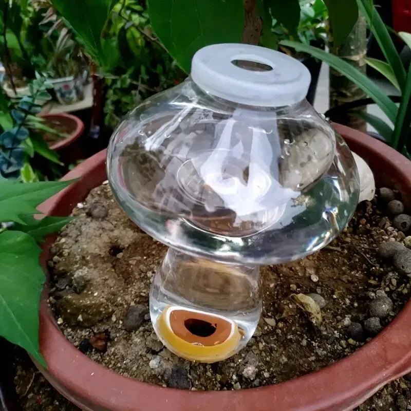 Automatic Love Shaped Plant Waterer for Easy Irrigation - Smarsty