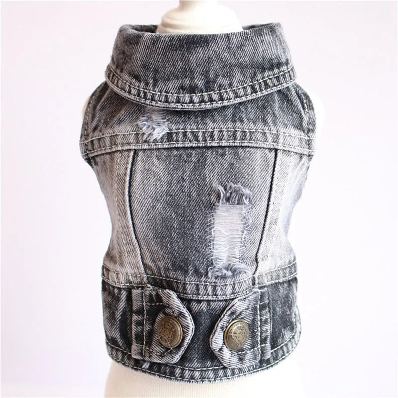 Cool Dog Jeans Jacket for Small Dogs Fashionable Style - Smarsty
