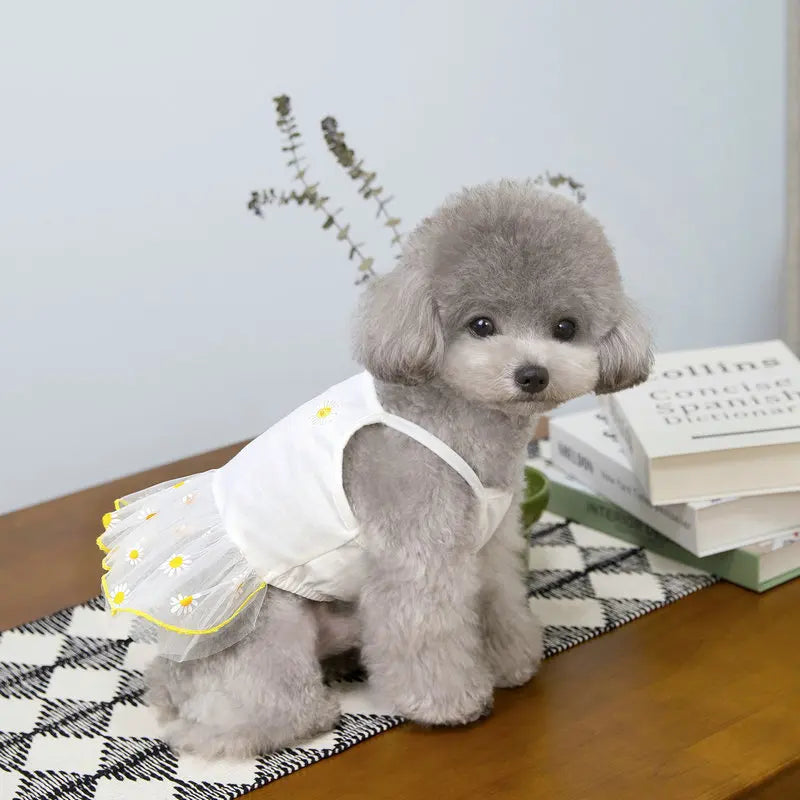 Cute Summer Dog Dress for Small Dogs - Smarsty