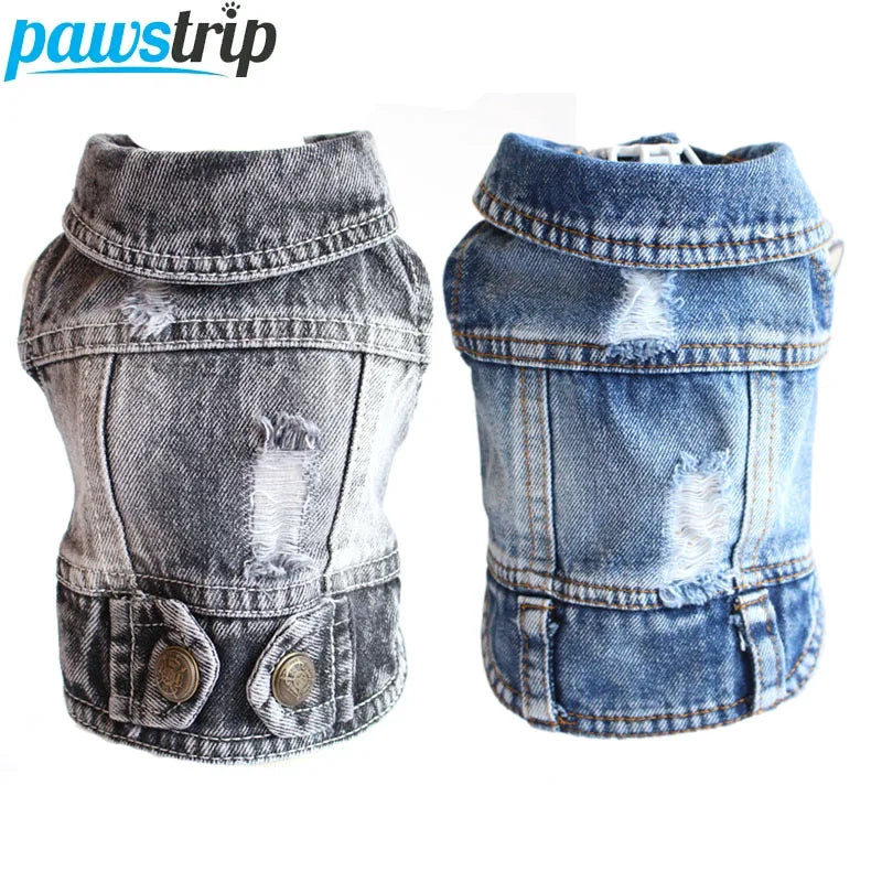Cool Dog Jeans Jacket for Small Dogs Fashionable Style - Smarsty