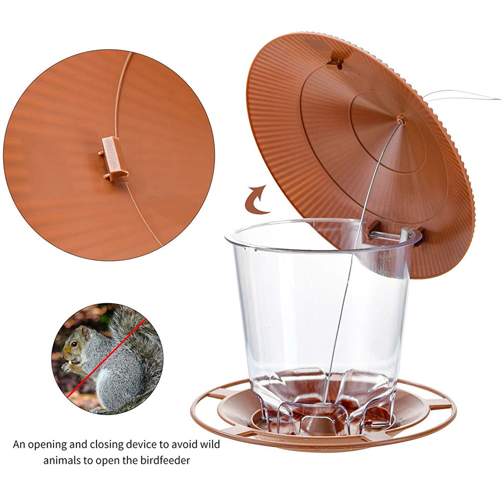 Automatic Outdoor Bird Feeder with Multiple Holes - Smarsty
