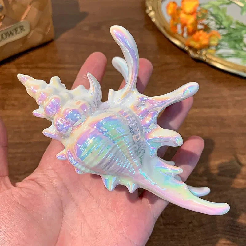 Acrylic Shark Claw Hair Clip Shell Beach Accessories - Smarsty
