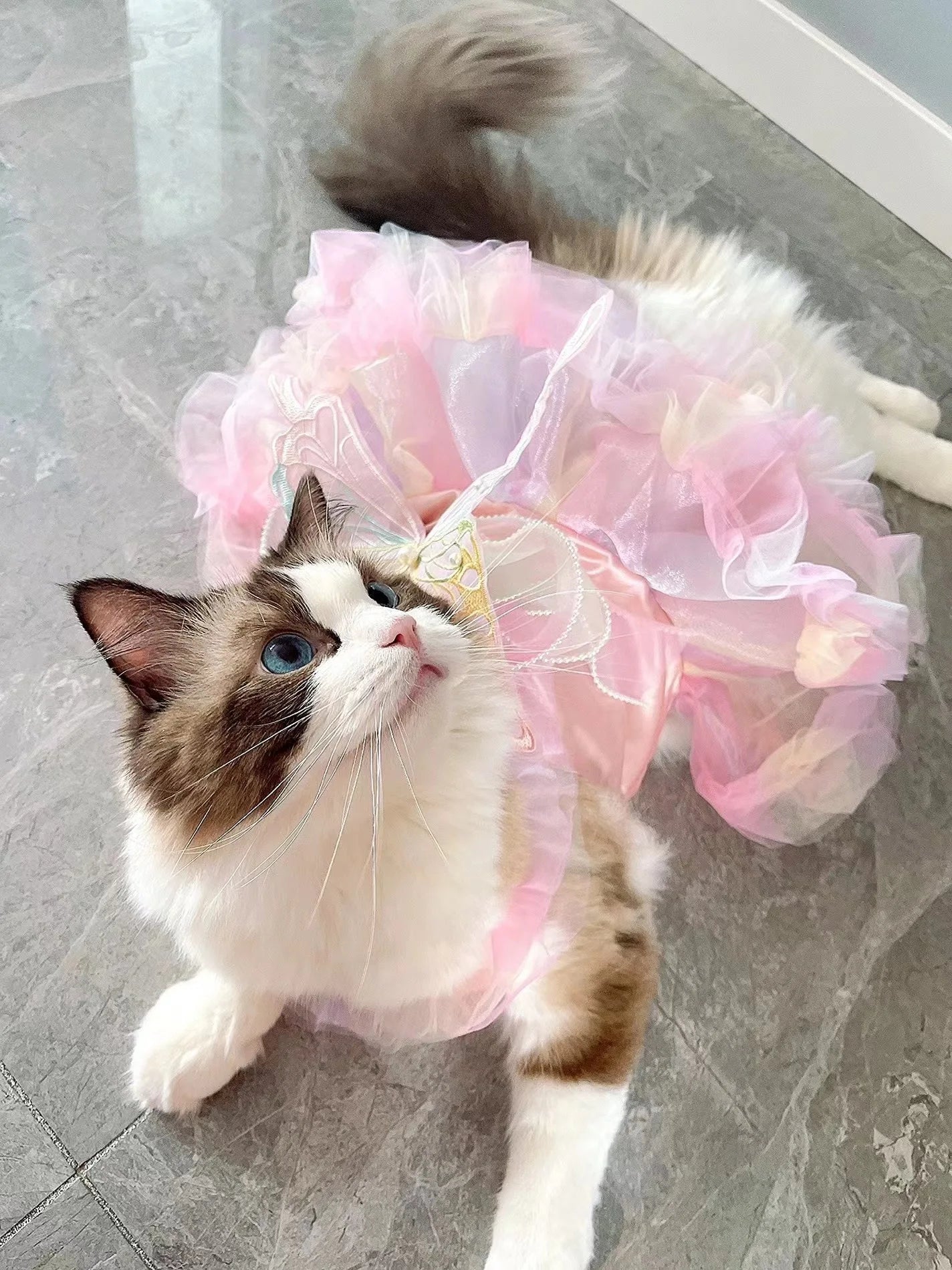Princess Style Lace Skirt Dog Cat Dress - Smarsty