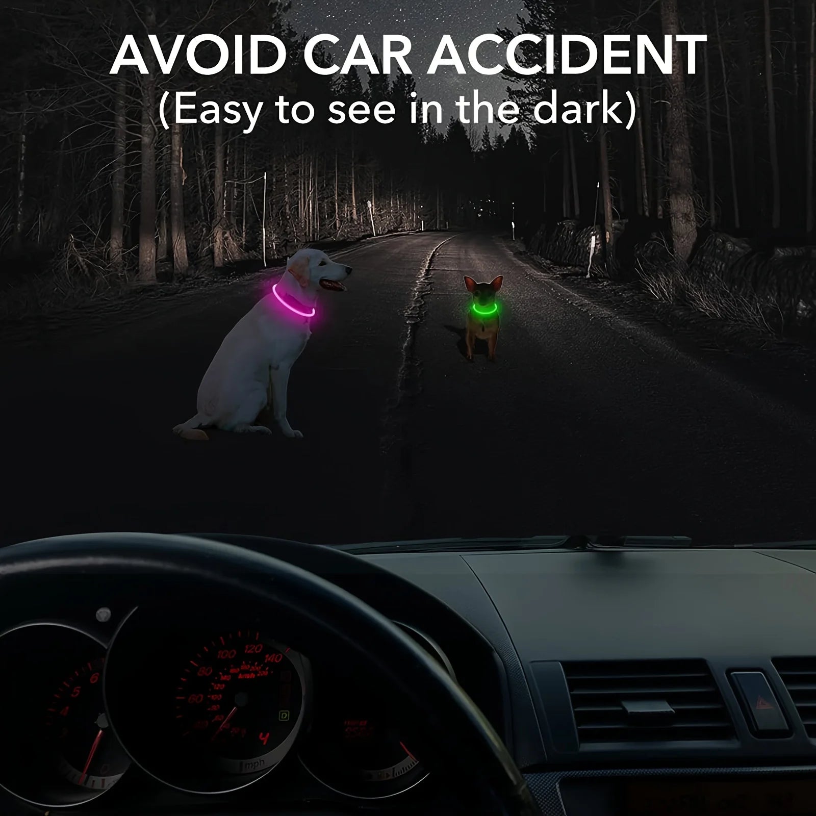 USB Rechargeable LED Dog Collar for Safety - Smarsty