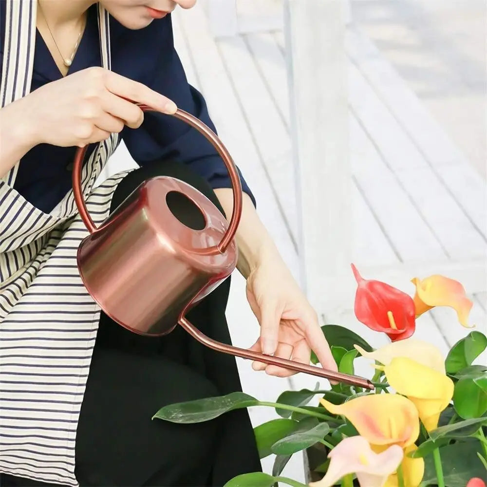 Rustproof Leakproof Stainless Steel Watering Can with Long Nozzle - Smarsty