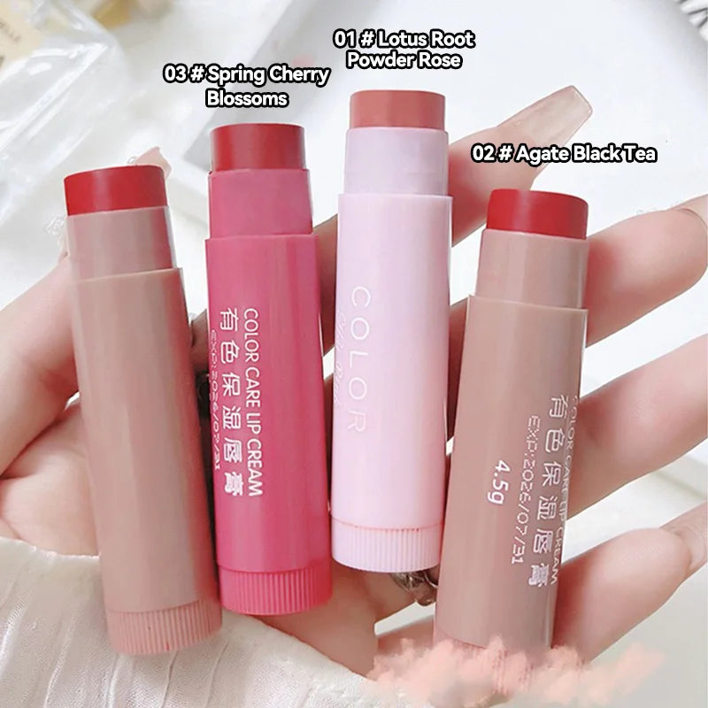 HAIPINK Tinted Moisturizing Lip Balm Set for Hydration - Smarsty