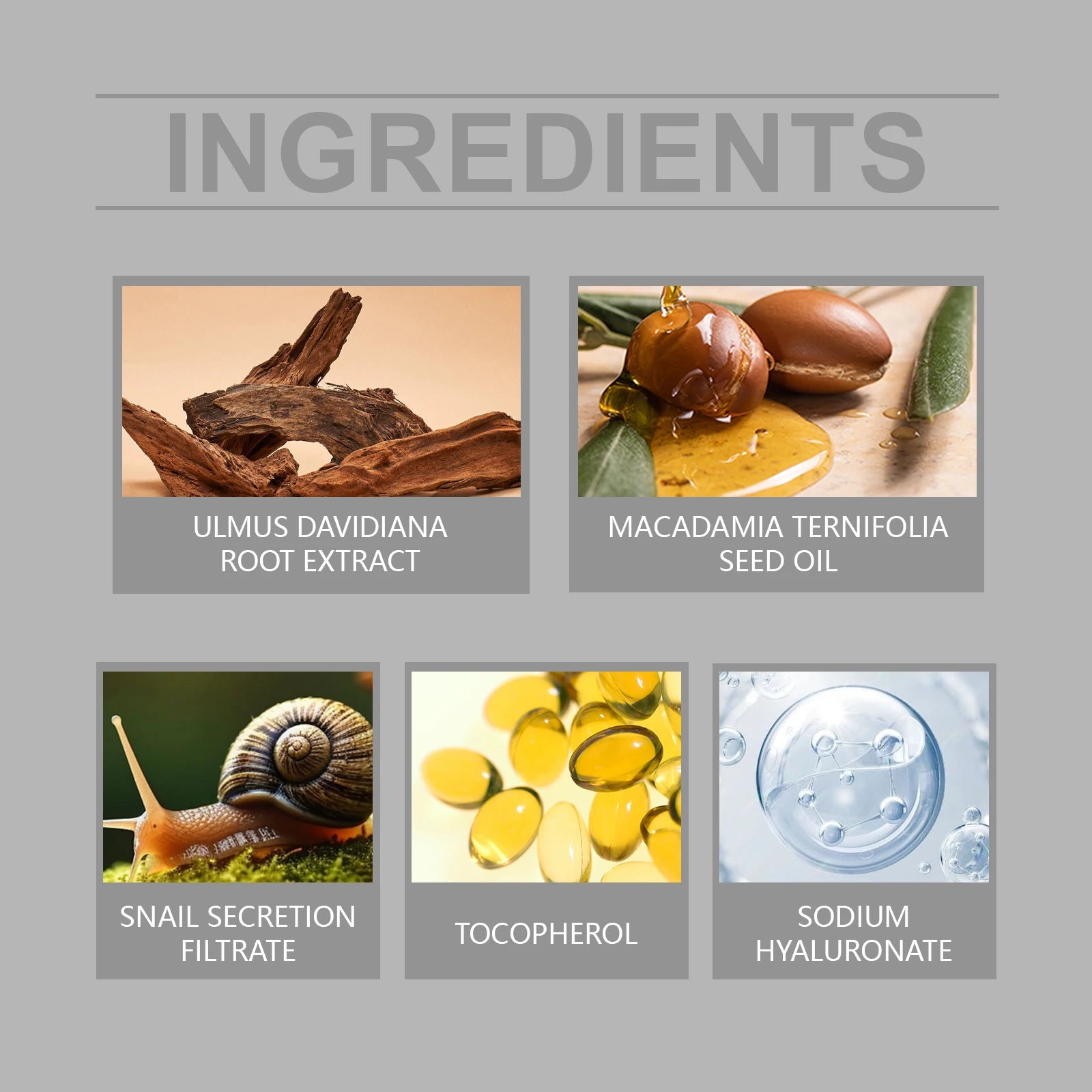 Snail Mucin 92% Moisturizer Daily Face Gel Cream Fade Fine Lines Tightne Skin Improves Dark Skin Rejuvenation Nourishing Cream