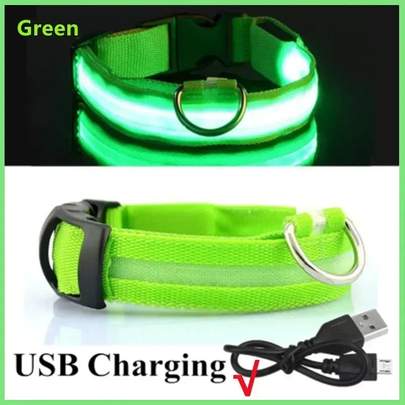 LED Glowing Dog Collar Adjustable Rechargeable Night Safety - Smarsty